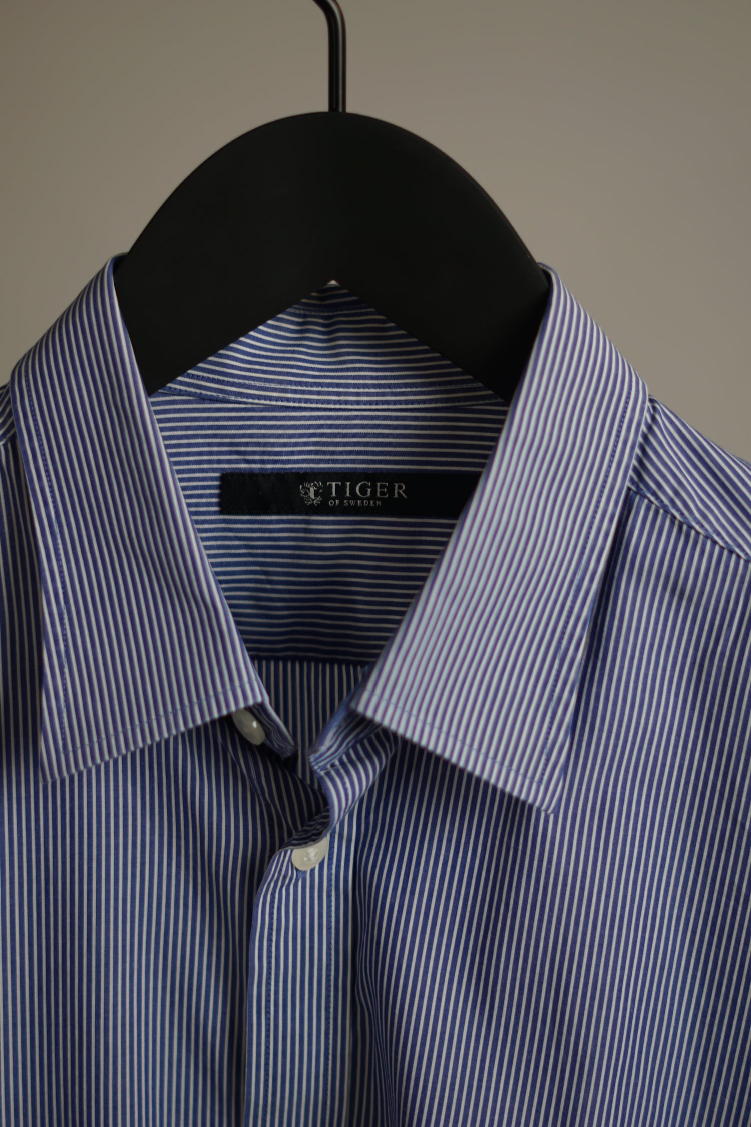 Tiger of Sweden Blue Striped Shirt