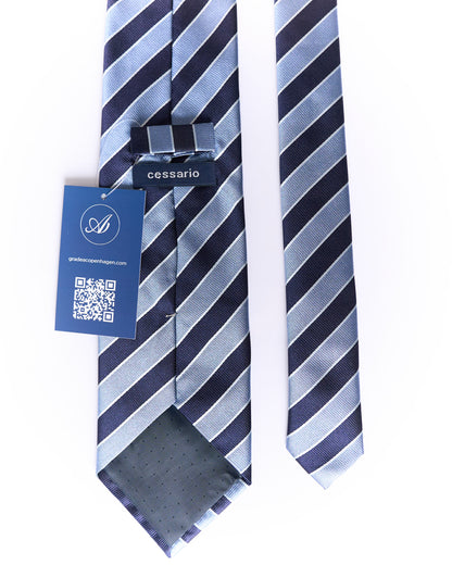 Cessario Navy and Light Blue Striped Silk Tie