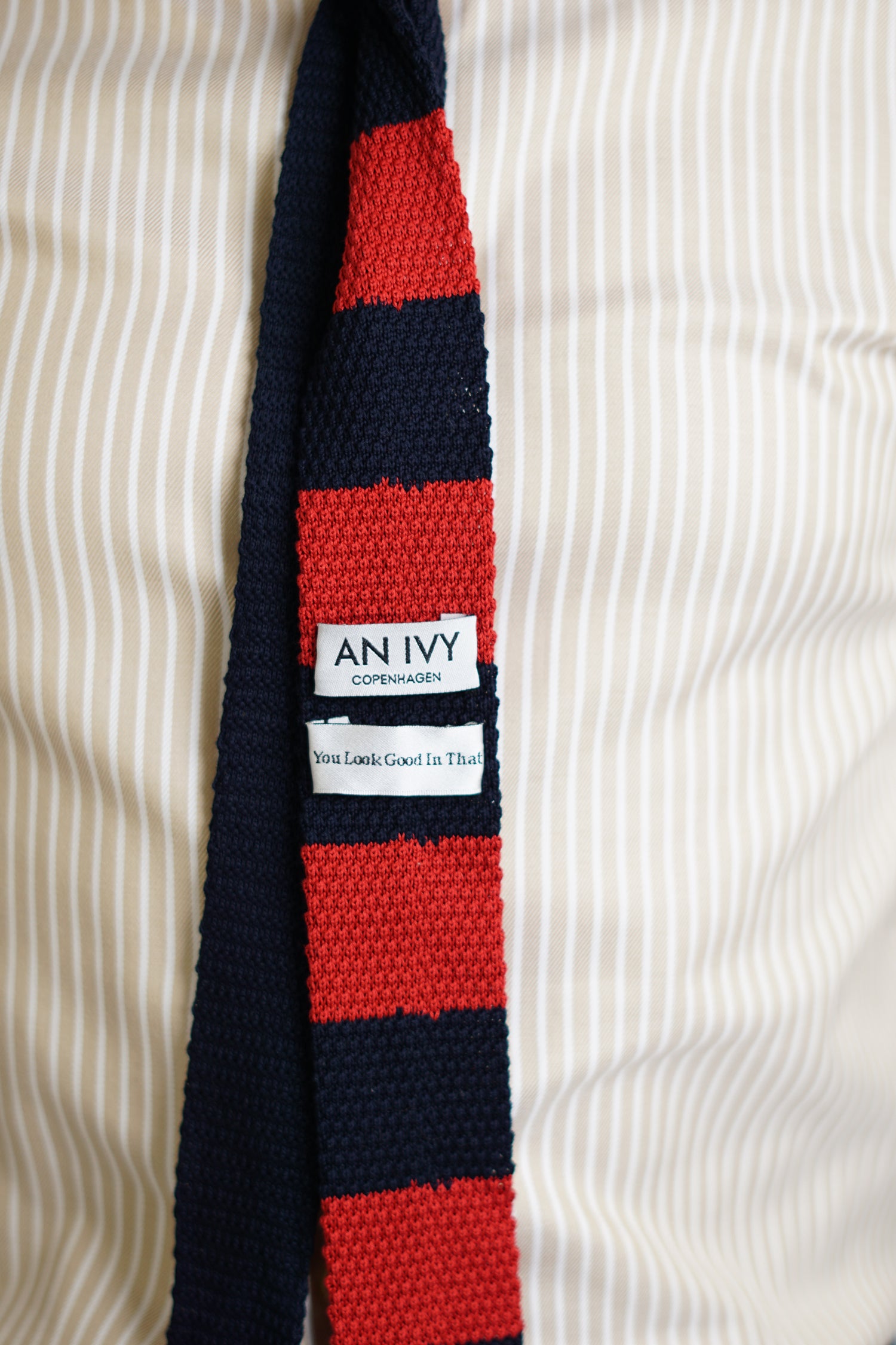 An Ivy Red and Navy Knitted Tie