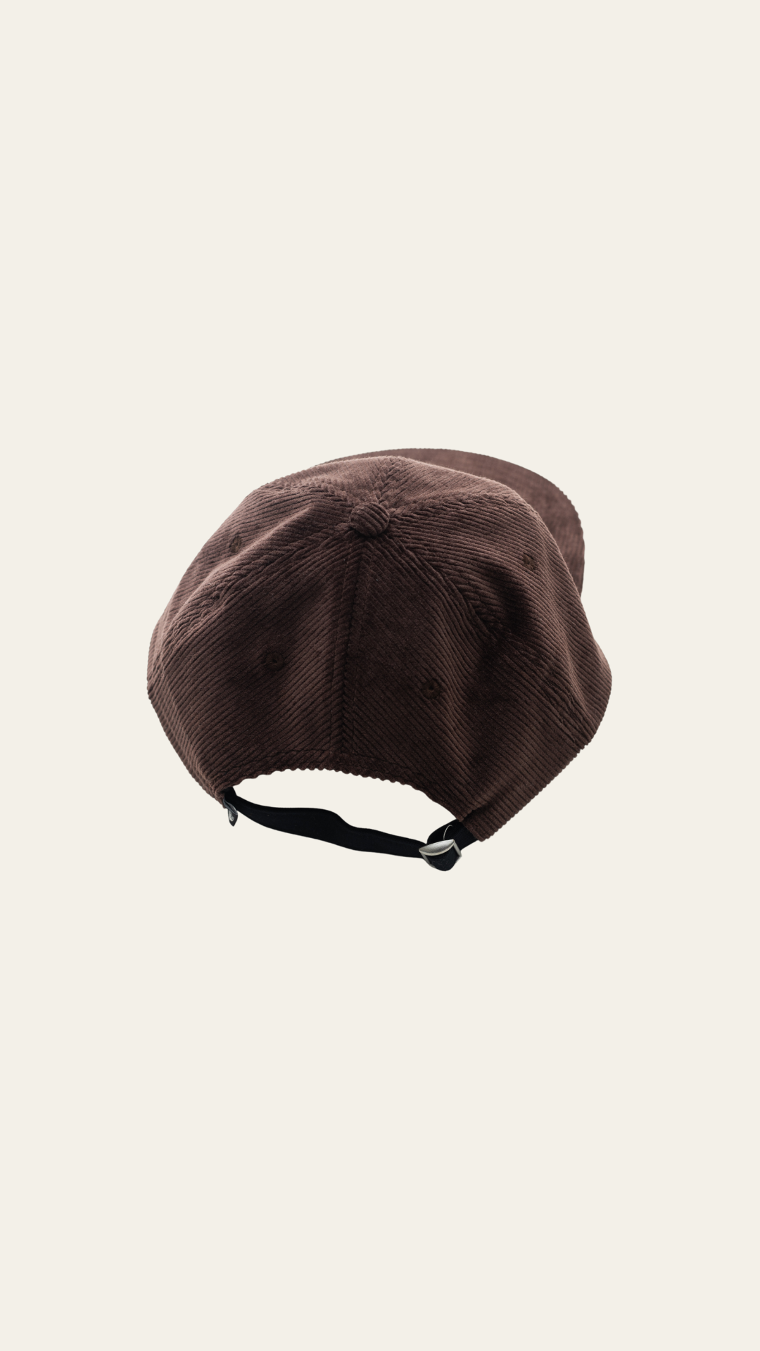 The North Face Brown Velvet Cap